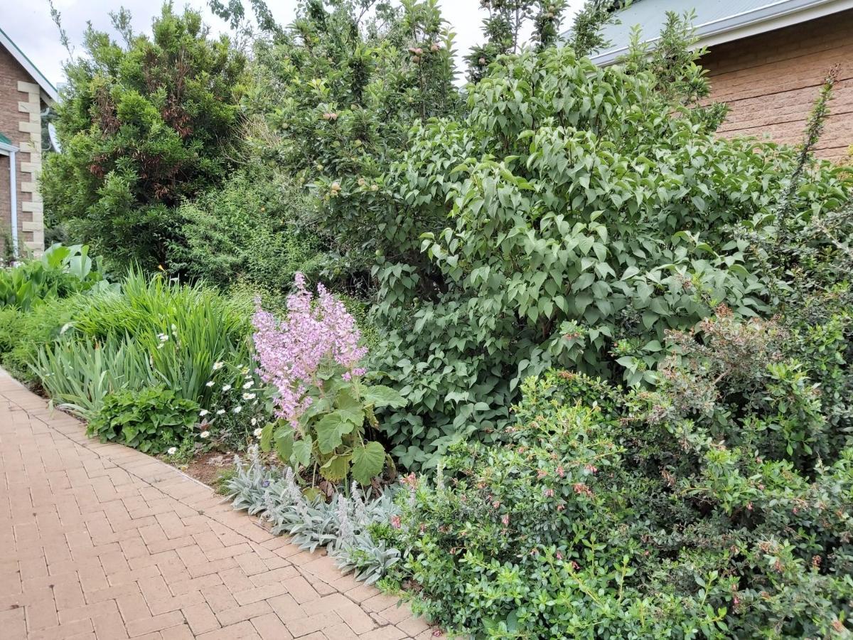 Clarens Mountain Sage Holiday House Экстерьер фото